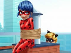 Cat Noir Rescue Ladybug