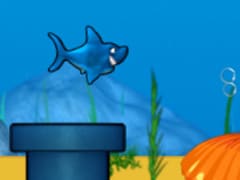 Jumpy Shark