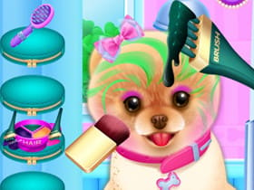 Pet Haircut Beauty Salon