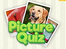 Picture Quiz